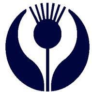 Strathmore Artists Papers